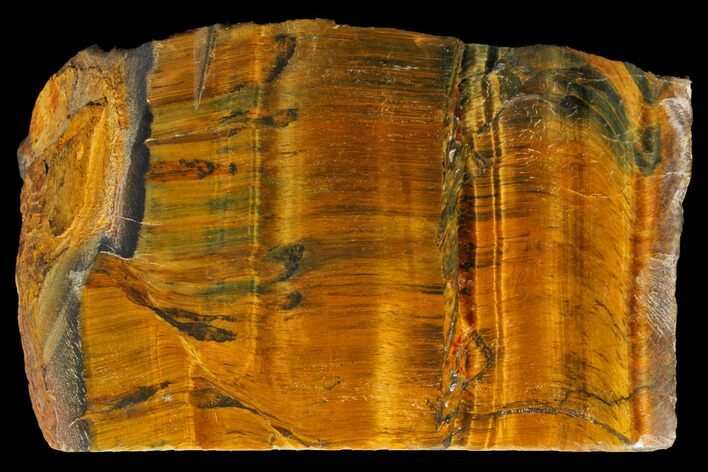 Polished Tiger's Eye Section - South Africa #128447